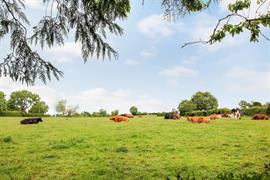 North Cowton