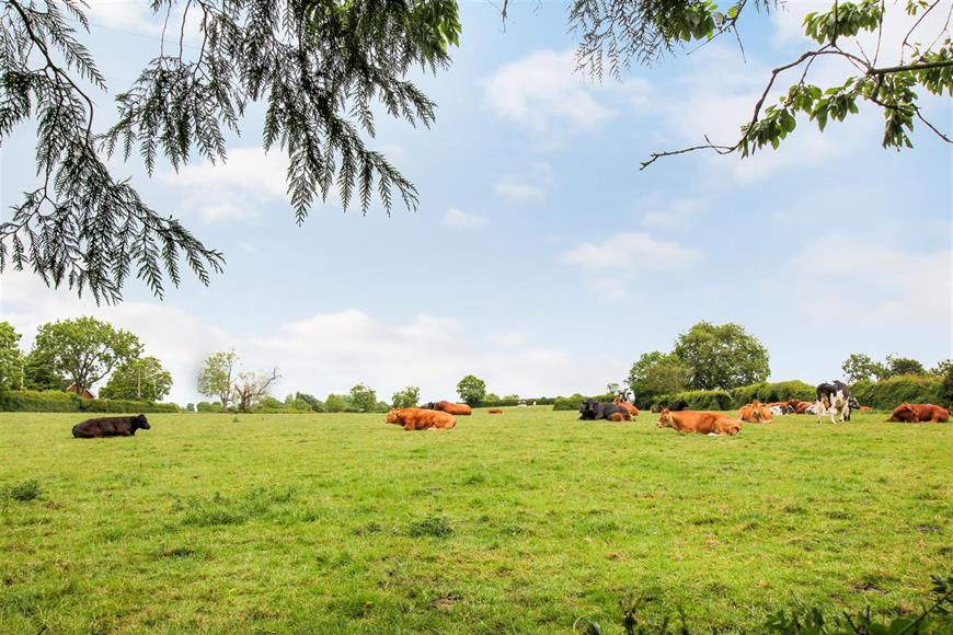 North Cowton