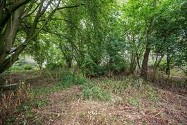 Barmpton