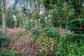 Barmpton